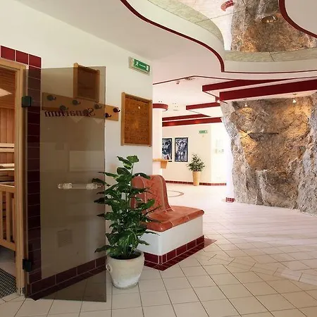 Отель Alpenhof Кирхберг