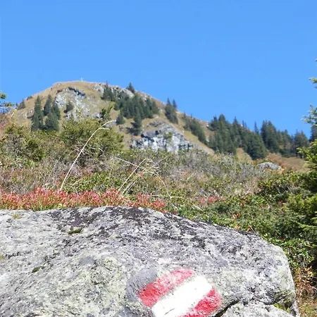 Alpenhof 3* קירשברג אין טירול