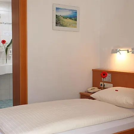 Alpenhof Отель 3*