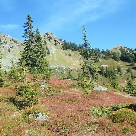 Отель Alpenhof 3*